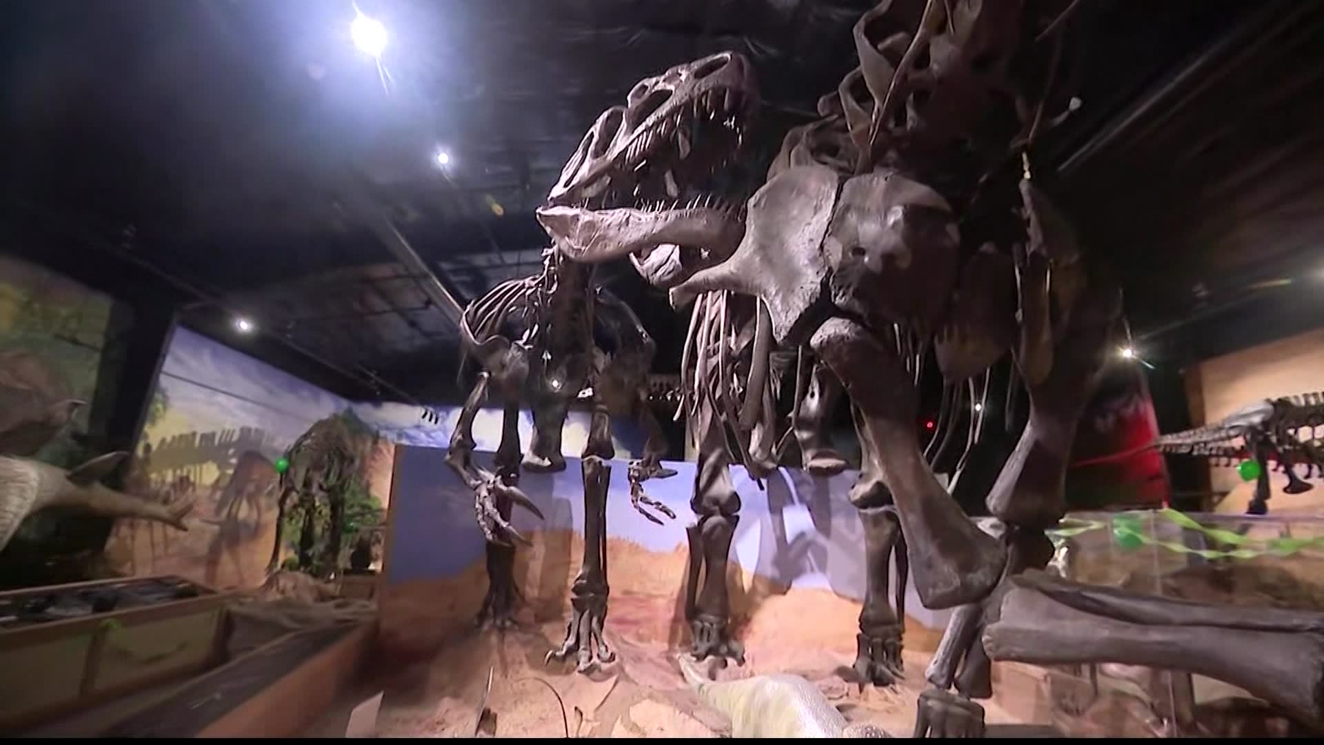 Dinosaurs coming back to life at Rockville Centre's firstever Dino