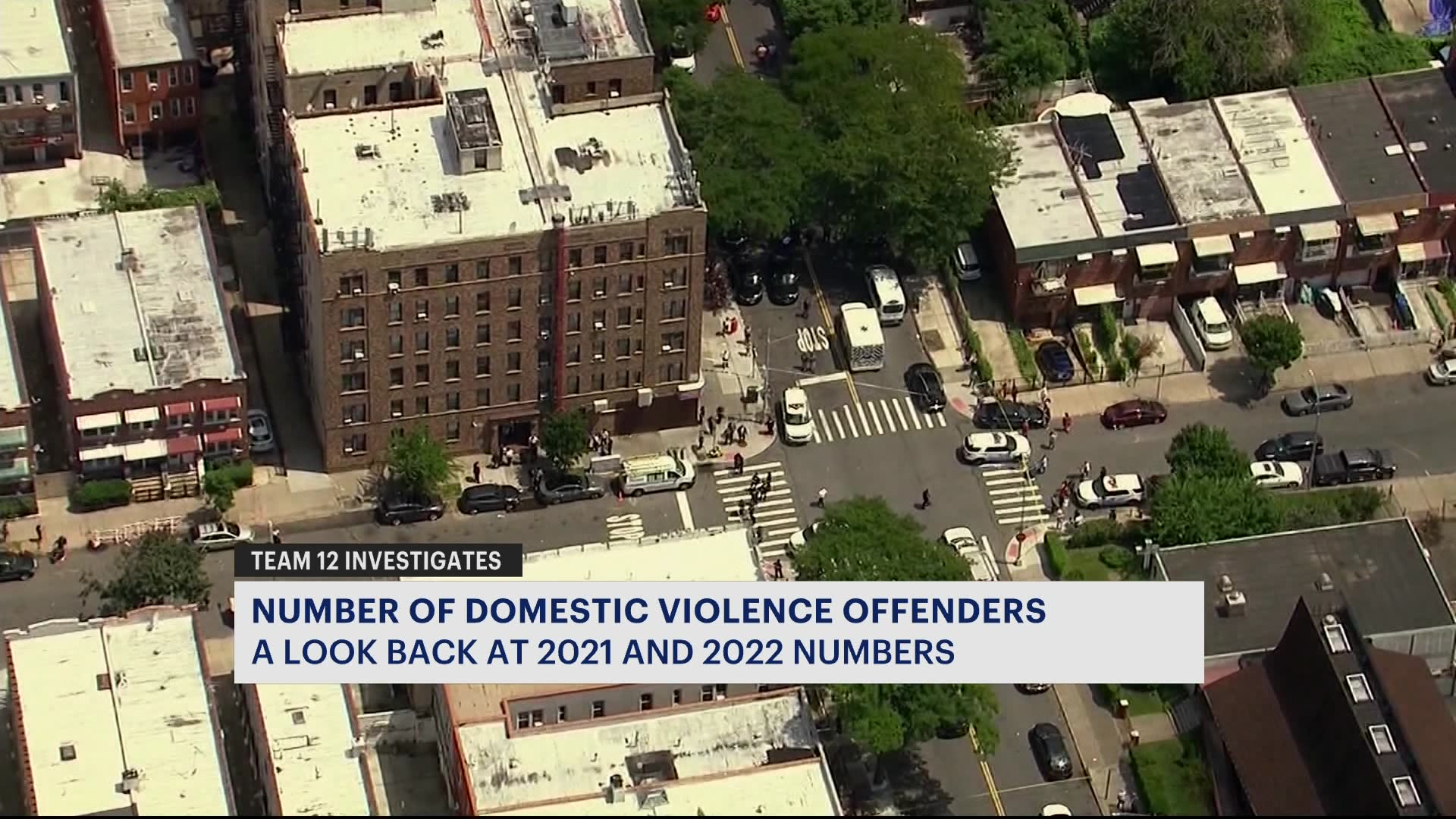 Rise in domestic violence cases in the Bronx prompts concern and