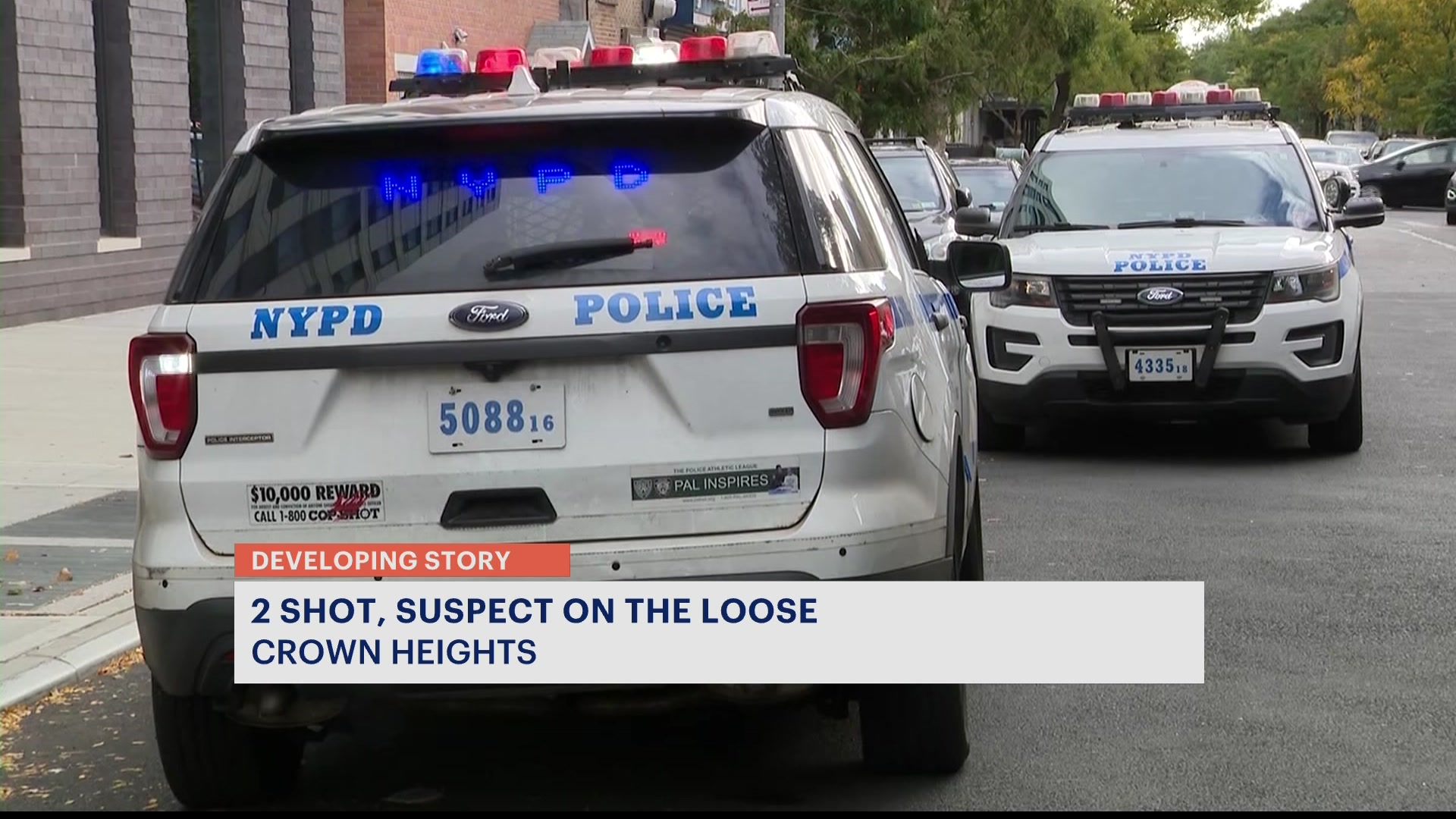 News 12 | Brooklyn | Nypd Man And Woman Injured In Crown Heights Shooting