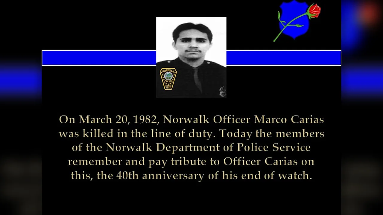 Article 288704 Hero Image