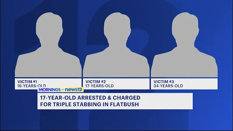 Story image: Police: Teen arrested in connection to Flatbush triple stabbing