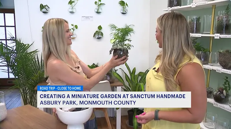 Story image: Asbury Park plant shop lets visitors build miniature gardens