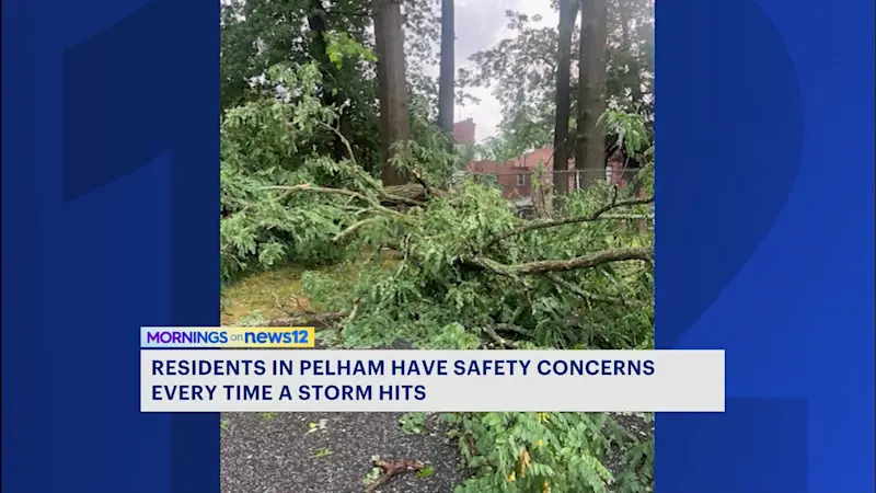 Story image: Another storm raises safety concerns from Pelham residents over trees, power lines