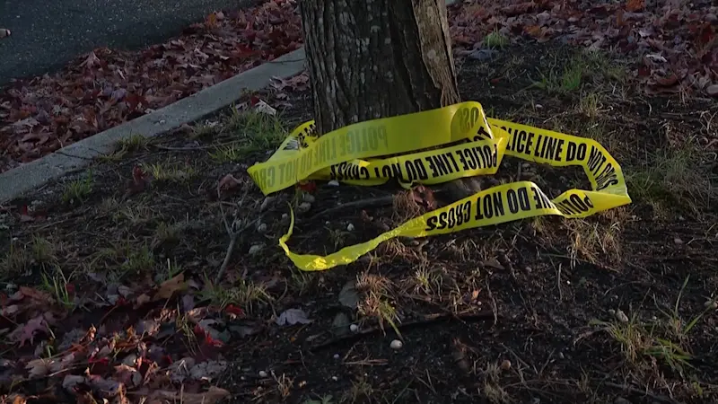 Story image: Yaphank woman gets up to 12 years in prison for DWI crash that killed senior