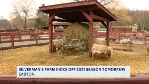 Silverman's Farm eager for start of 2021 season opener Friday
