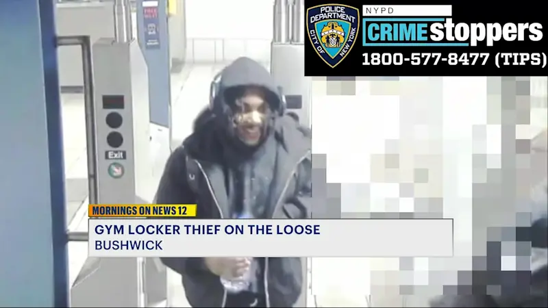 Story image: Thefts reported at Bushwick Planet Fitness; police release images of person wanted