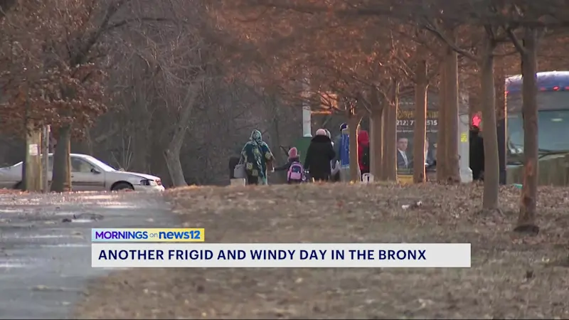 Story image: Bronx residents brave the bitter temperatures in Pelham Parkway