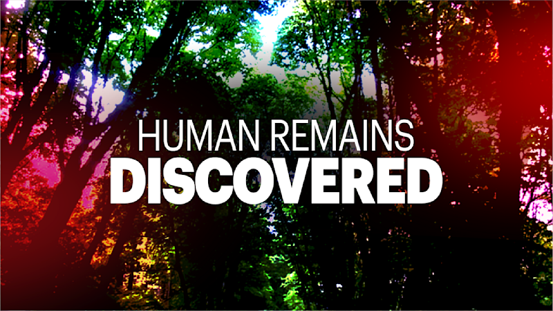 Story image: Human remains found at Greenwich construction site