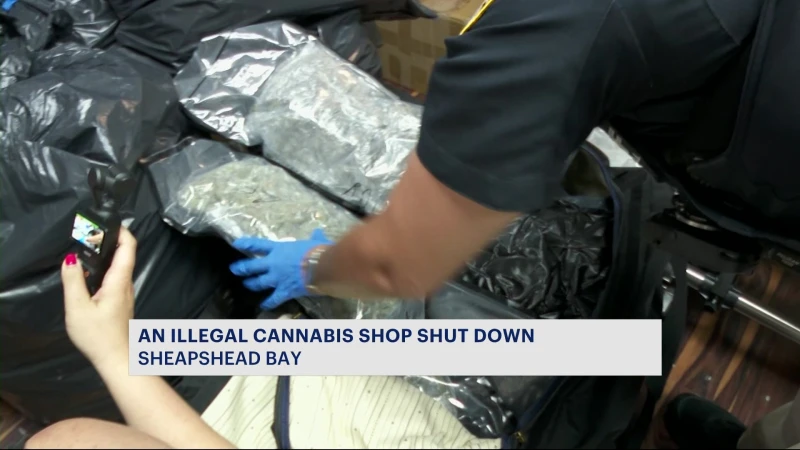 Story image: Sheriff's office busts yet another illegal cannabis shop in Sheepshead Bay