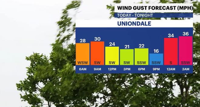 hourly gusts LI.JPG