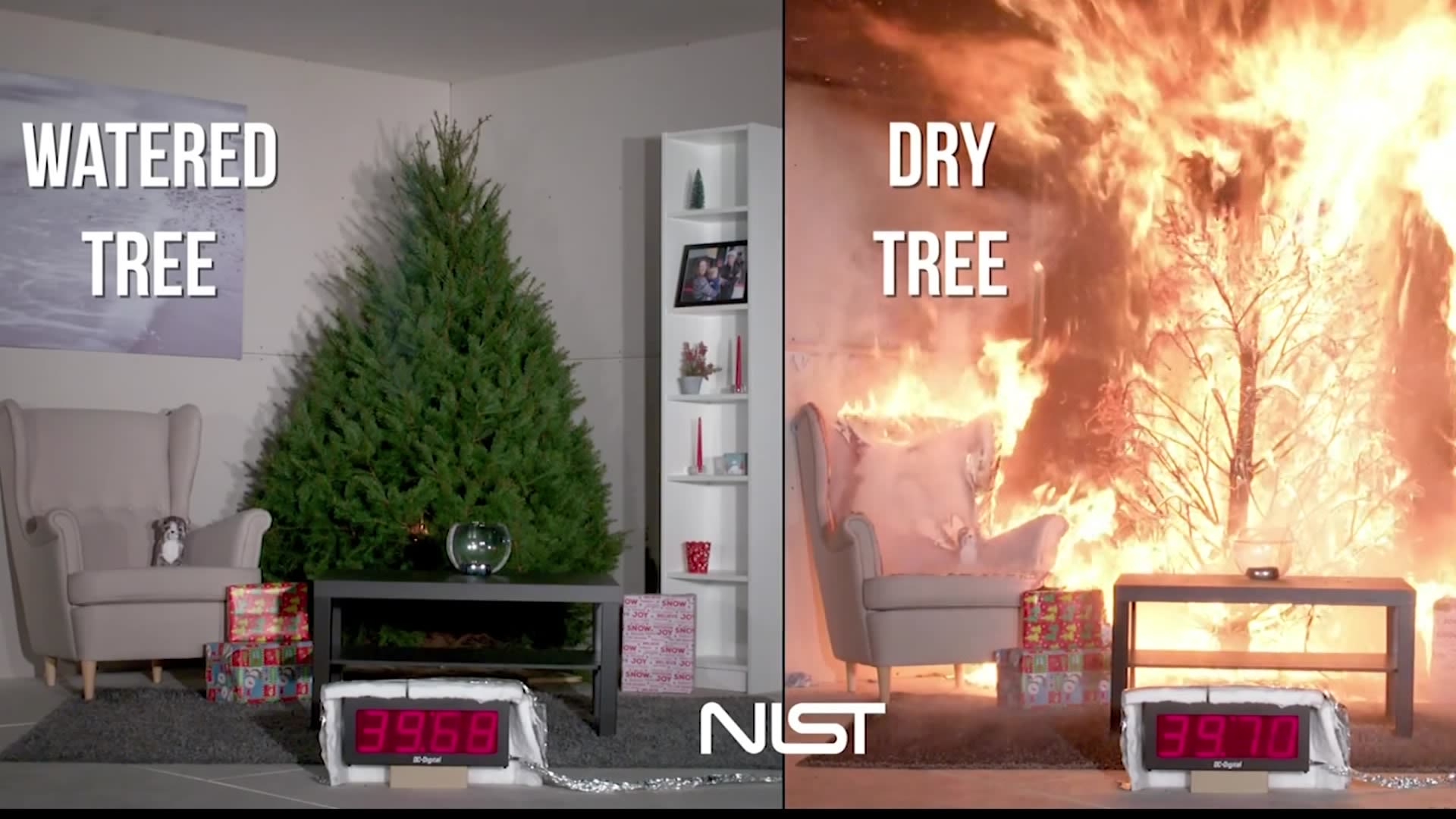 Keeping safe! Fire departments offer tips to prevent Christmas tree fires