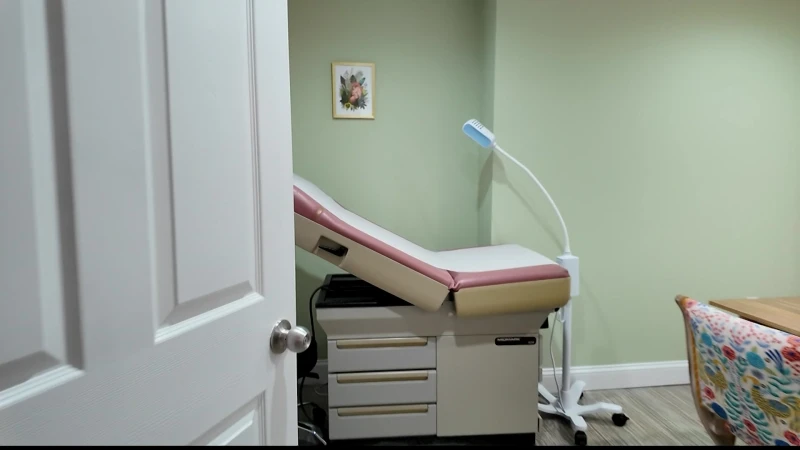 Story image: Bronx clinic aims to improve maternal care access for families