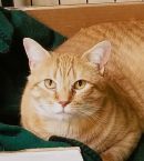 IMG_2076.jpeg