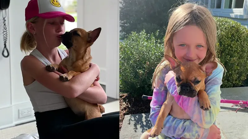 Story image: 'She's a little light.’ Family desperately asks public to help find stolen dog