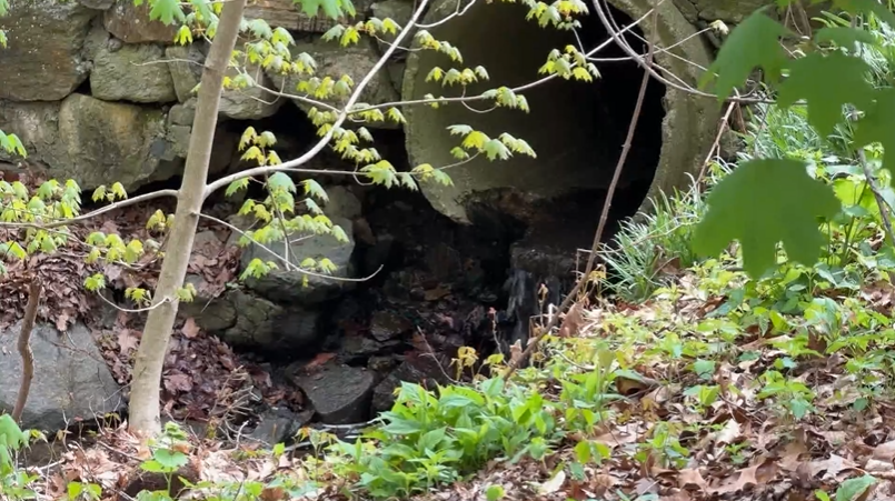 WCHVHuntWoodsSewageConcernsFoloJNashSG001