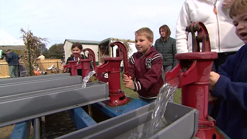 Story image: The Cost Of: Fun fall activities