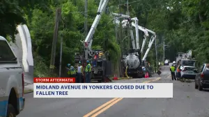 Downed tree closes portion of Midland Avenue in Yonkers