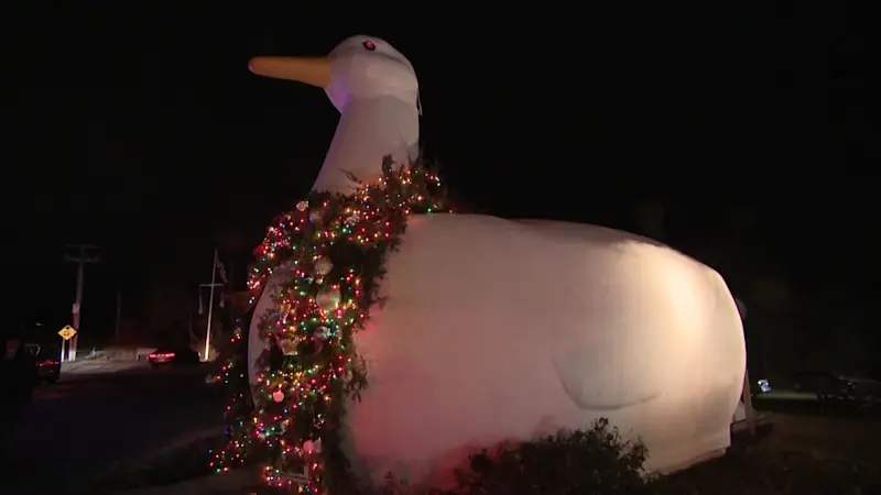 Story image: Big Duck in Flanders now lit for the holidays