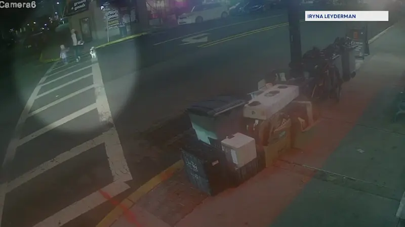 Story image: Cliffside Park family calls for safety changes after dog hit in crosswalk