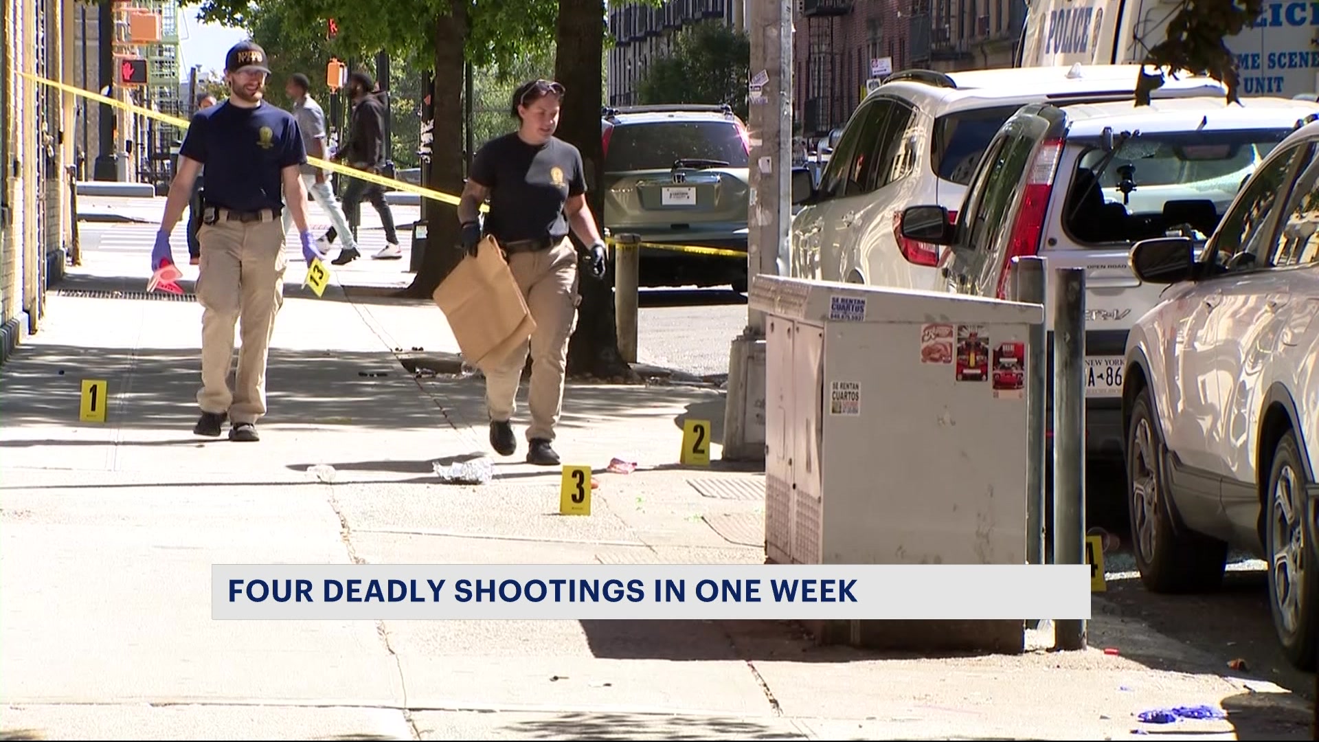 News 12 | New York | 4 killed in Bronx shootings this week