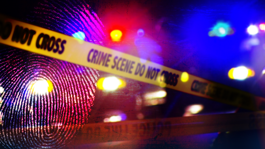 NYPD: 7-year-old shot in the hand; Wakefield man arrested