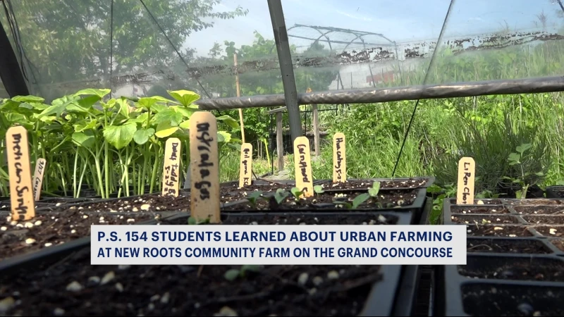 Story image: New York City students learn to bring food from farm to table 