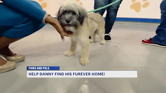 PawsAndPals0918NJTA_2026-09-18-10-35-33