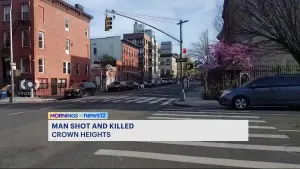 NYPD: 26-year-old fatally shot in the neck, torso in Crown Heights