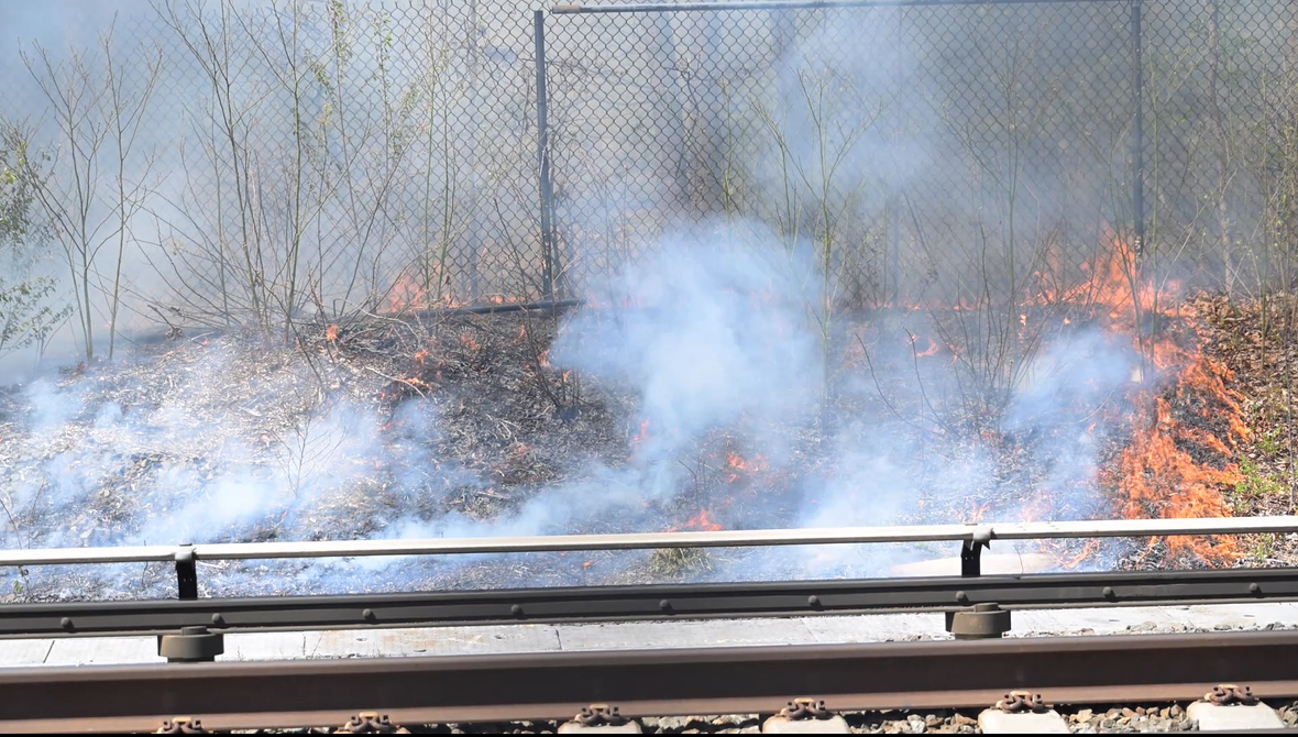 Brush Fire