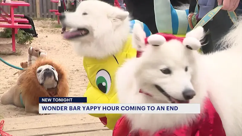 Story image: Future unclear for beloved 'Yappy Hour' at Asbury Park Wonder Bar 