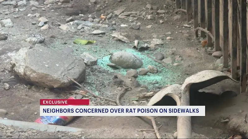Story image: Exclusive: Flatbush neighbors say loose rat poison is littering Ocean Avenue sidewalks