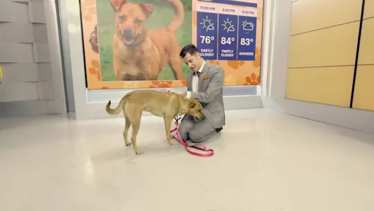 PawsAndPals1002NJTA_2026-10-02-09-06-18