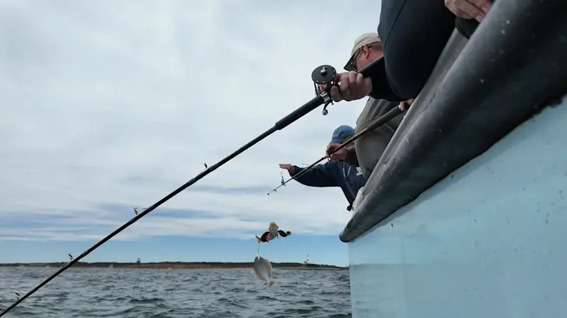 Story image: The East End: Lazybones Day Fishing