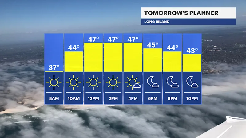 LI NEXT DAY HOURLY PLANNER FB BAR.png