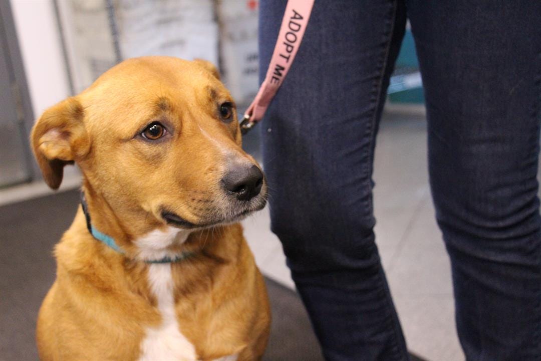 Article 18755 Thumbnail