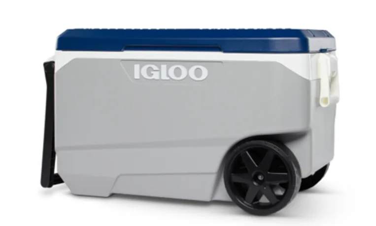 IglooRecallExpansionSG