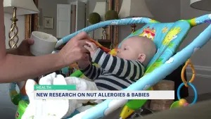Introducing peanuts to infant’s diet can reduce chances of future allergy, study finds