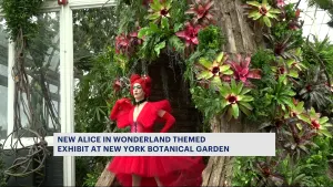 Alice in Wonderland themed exhibit coming to New York Botanical Garden