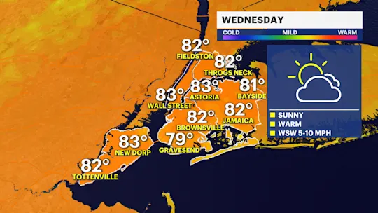 NY F P2 PM 2