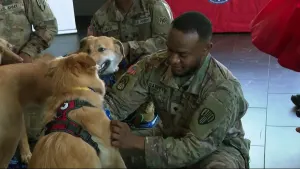 Brooklyn nonprofit hosts emotional reunion with soldiers and their rescue dogs 