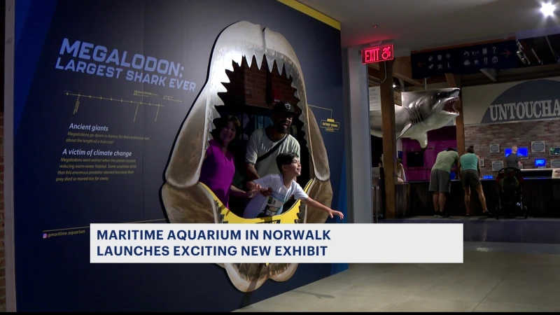 Story image: Maritime Aquarium launches exciting new summer exhibit