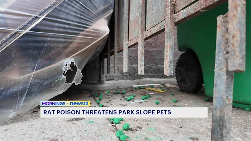 Story image: Park Slope pet owners alarmed after rat poison found on sidewalks
