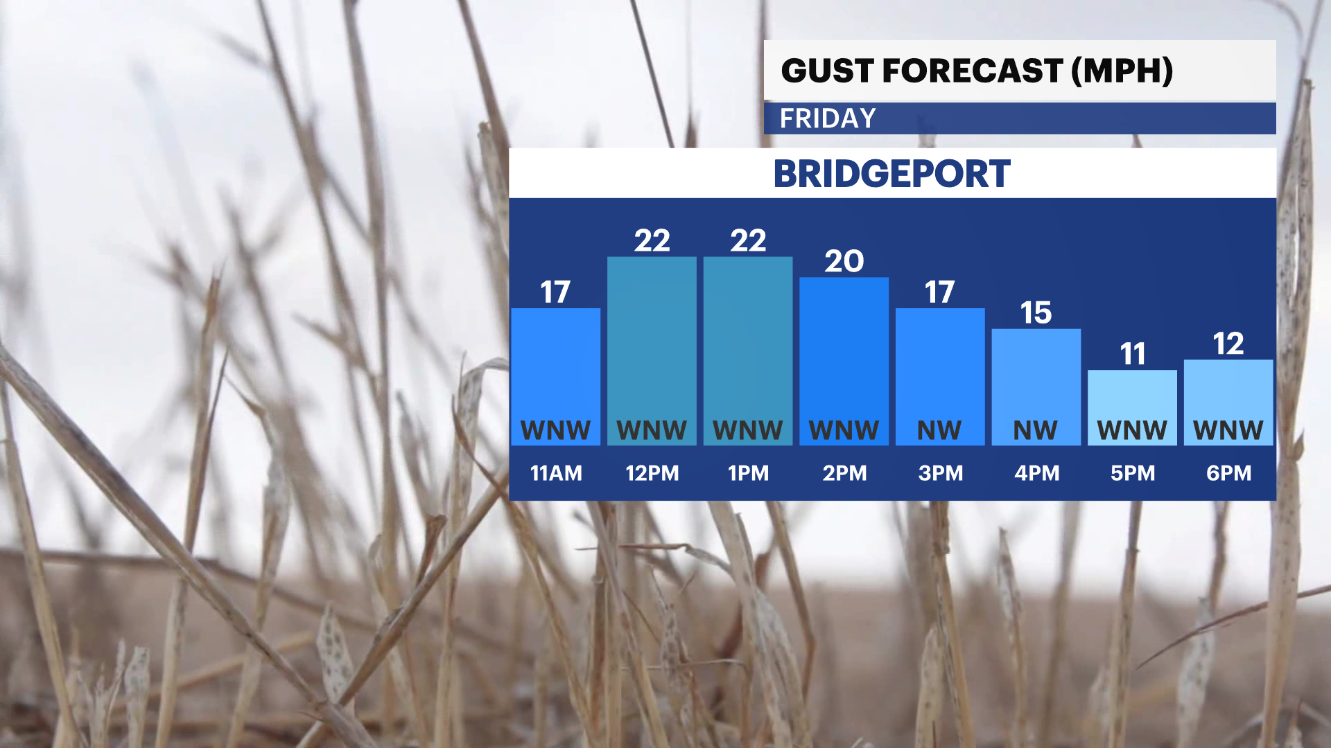 Cold first weekend of the new year with milder air in sight