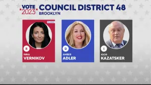 Vote 2023: A closer look at the race in the 48th City Council District 