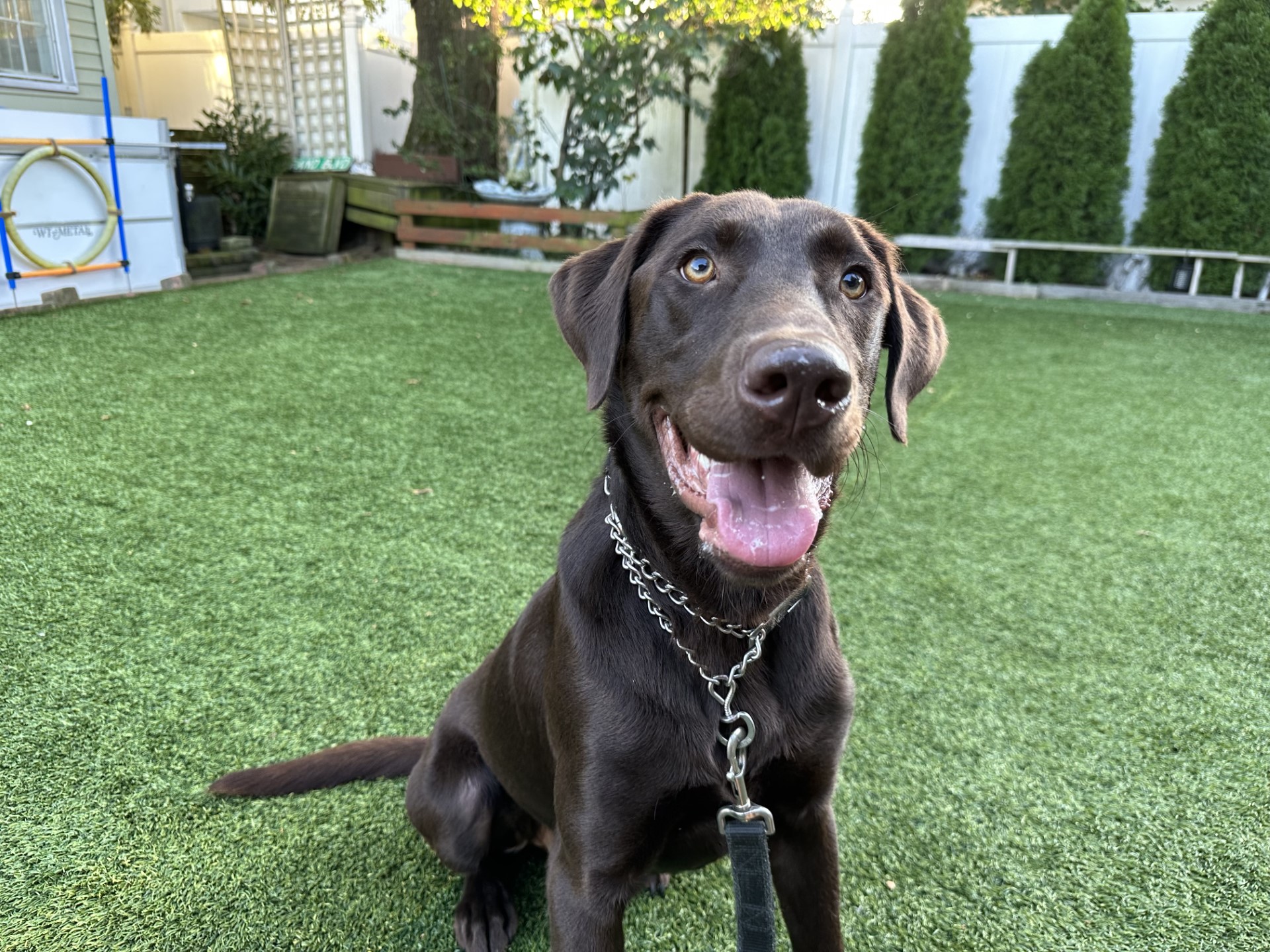 baxter.jpg