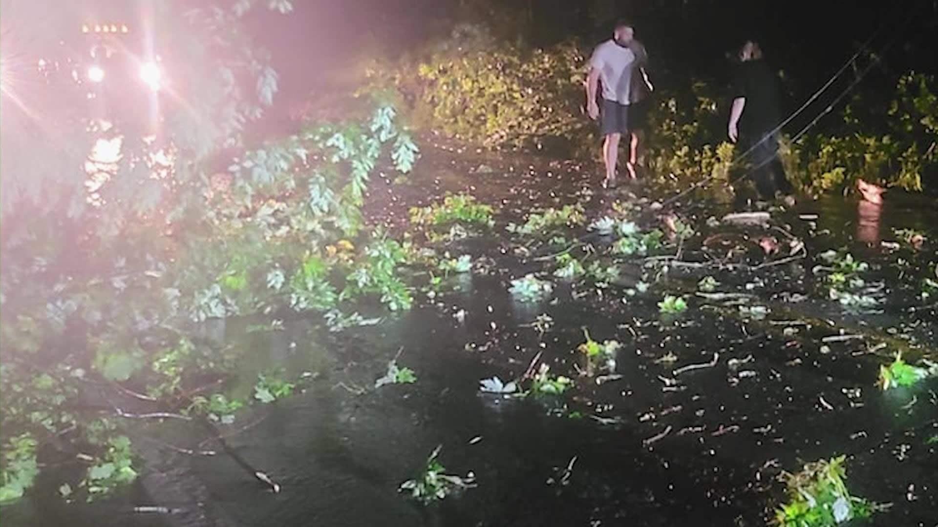 'Something out of a movie.' Confirmed lightning strike sets fire to