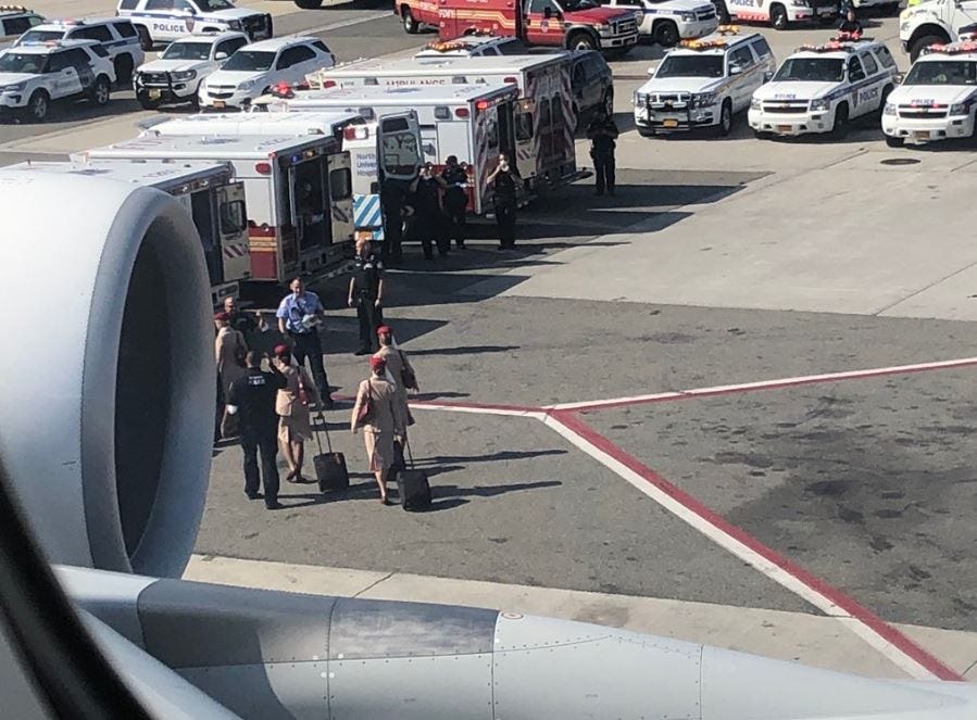 Article 144537 Thumbnail