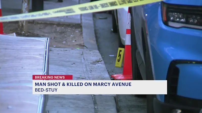 Story image: Man shot and killed on Marcy Avenue in Bed-Stuy