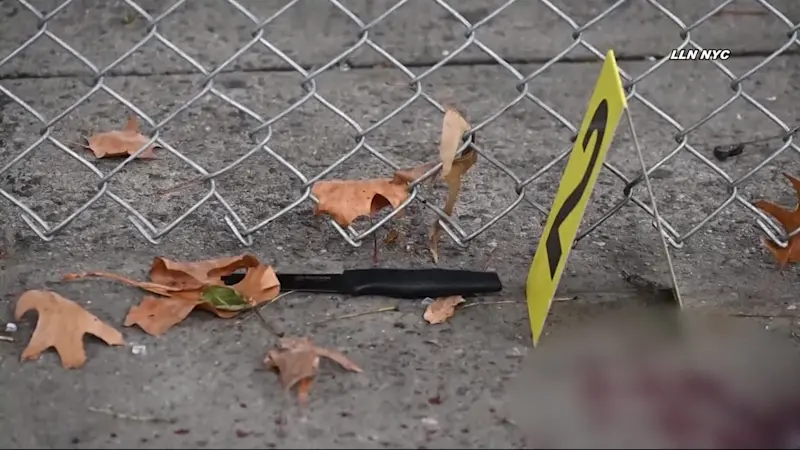 Story image: Man killed in stabbing outside Brownsville apartment building