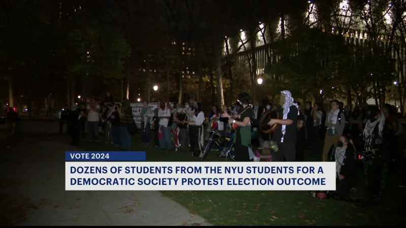 Story image: NYU students protest election outcome in Cadman Plaza Park